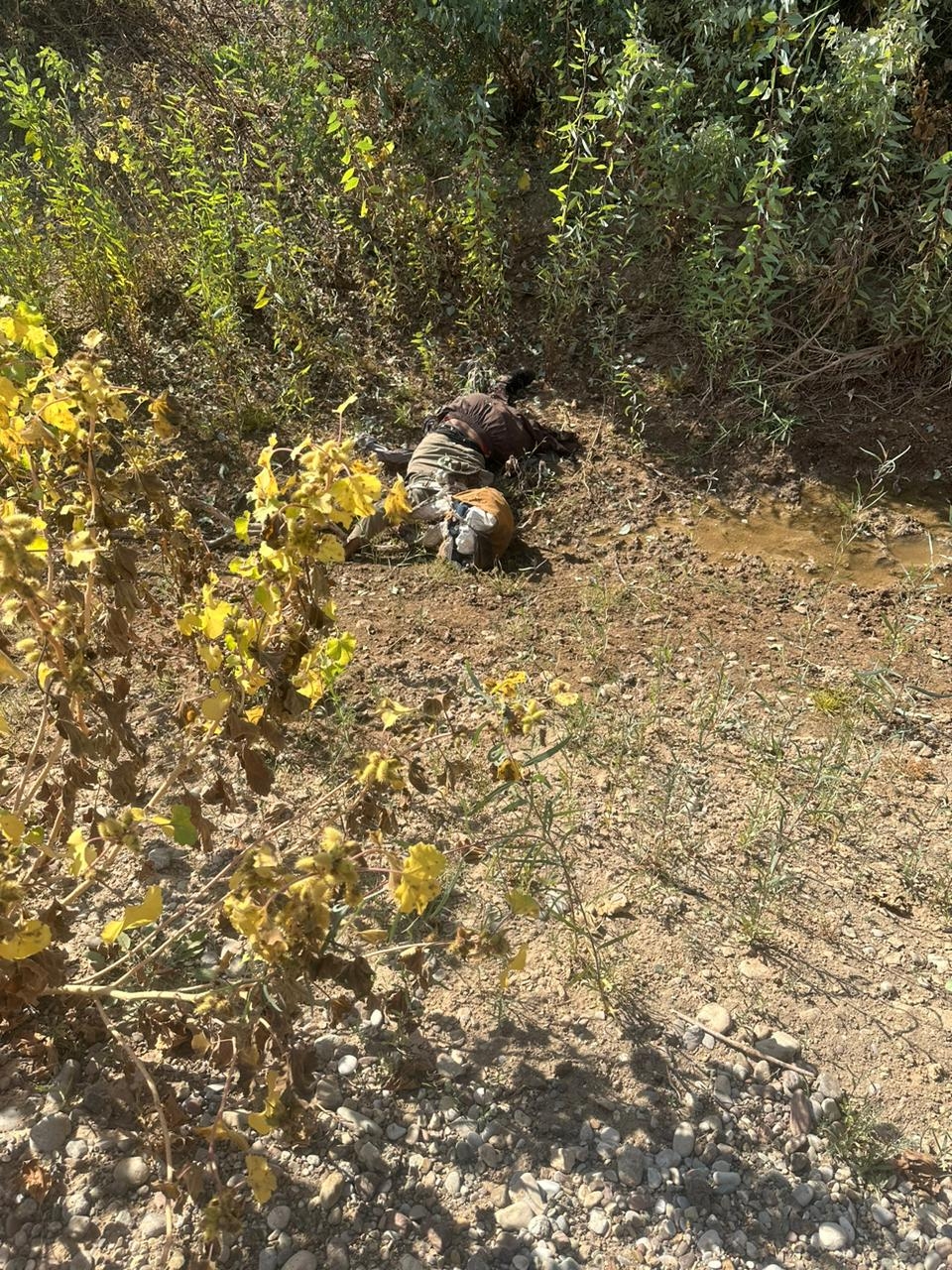 مقتل إرهابيين في وادي الشاي بكمين محكم من قبل القوات الخاصة وقوة من عمليات كركوك