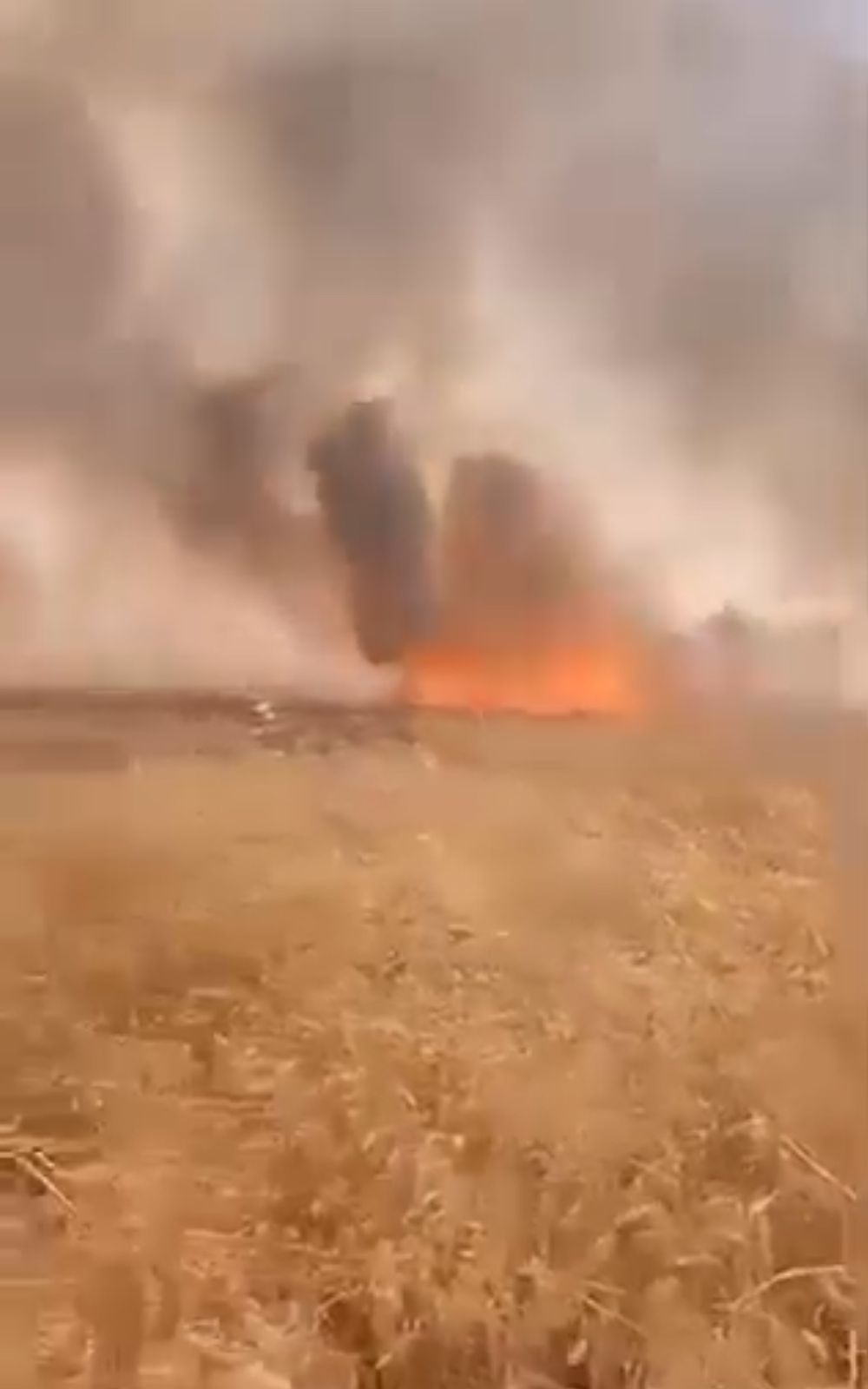 ألسنة النيران تلتهم 80 دونمًا في مزرعة حنطة بالسماوة (فيديو)