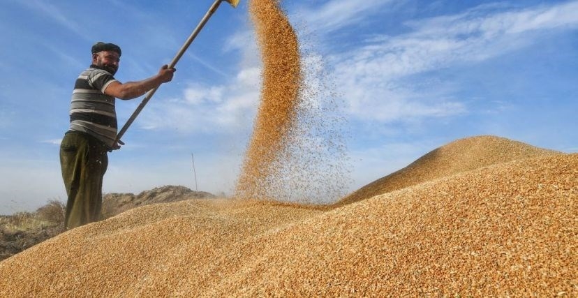 وزير التجارة: محصول الحنطة في العراق بدأ يواكب دول المنطقة وتجاوز سد الحاجة الفعلية