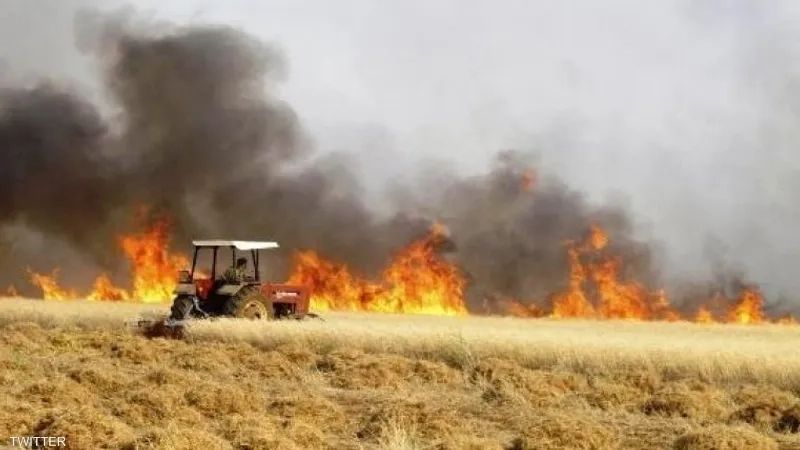 الدفاع النيابية تحدد 3 أسباب لحرائق الحنطة في العراق