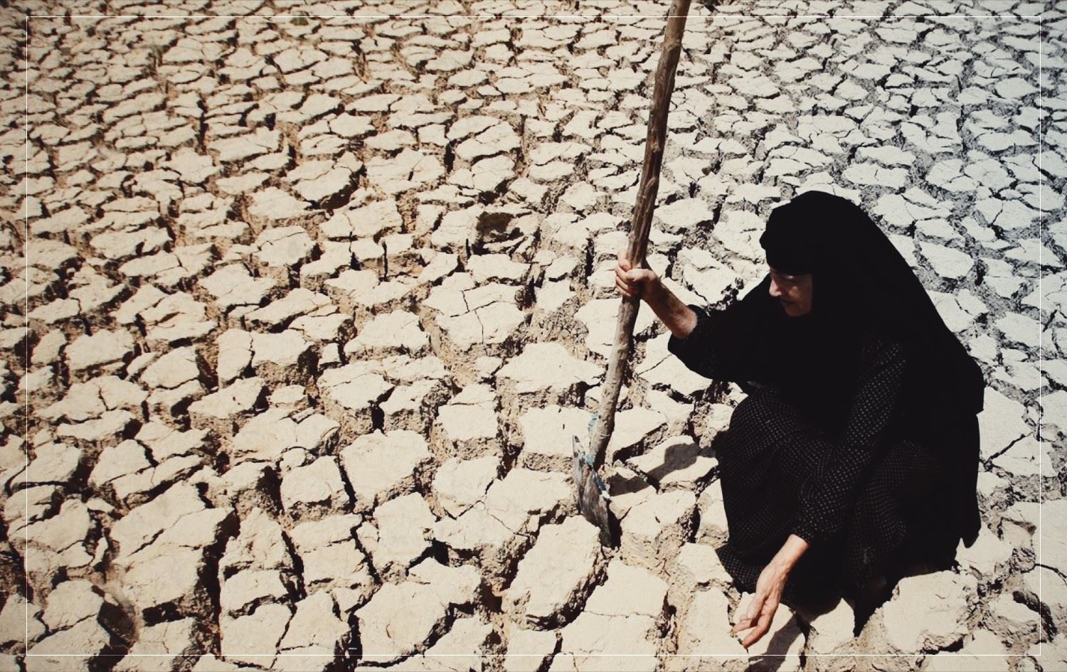 بسبب التصحر.. العراق يخسر  15% من الأراضي الزراعية