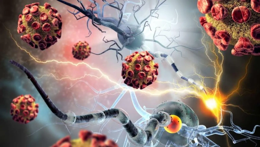 تقنية مبتكرة ترفع كفاءة توصيل أدوية السرطان 10 أضعاف » وكالة بغداد اليوم الاخبارية